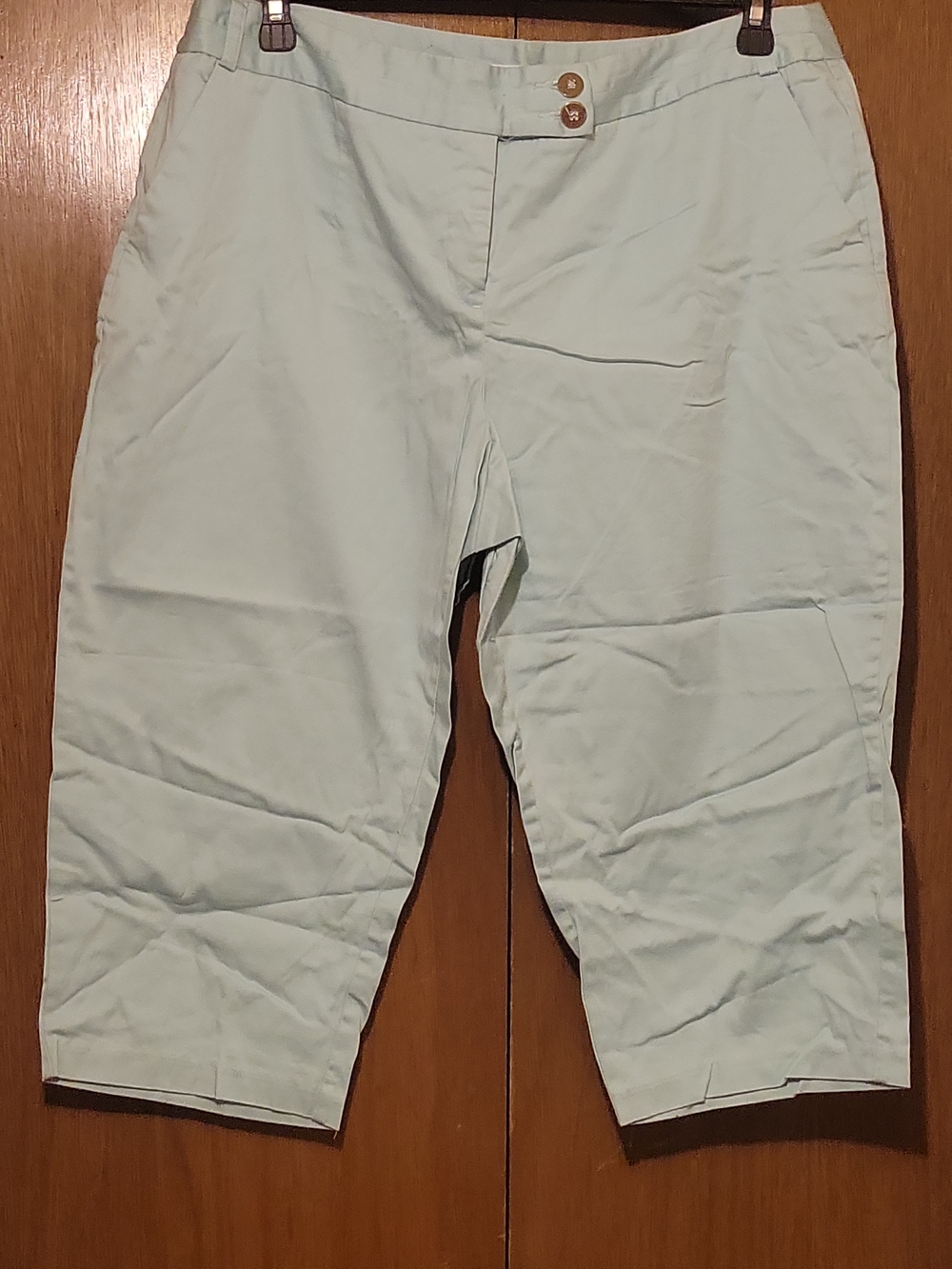 Cato Light Mint Stretch Capri Pants